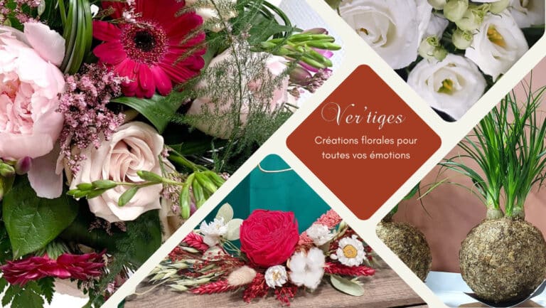 compositions de bouquets de fleurs colorées